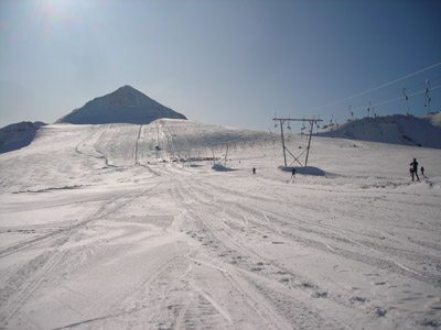 sci estivo