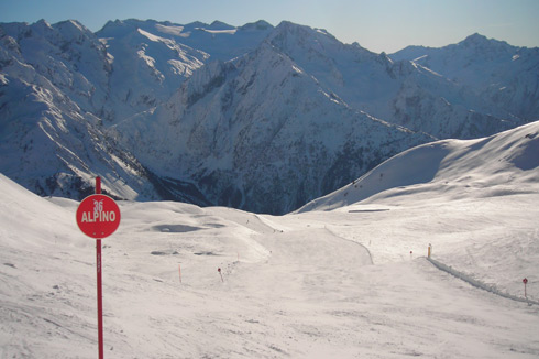 Pista Alpino - Tonale