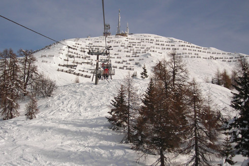 Rododendro - Pinzolo