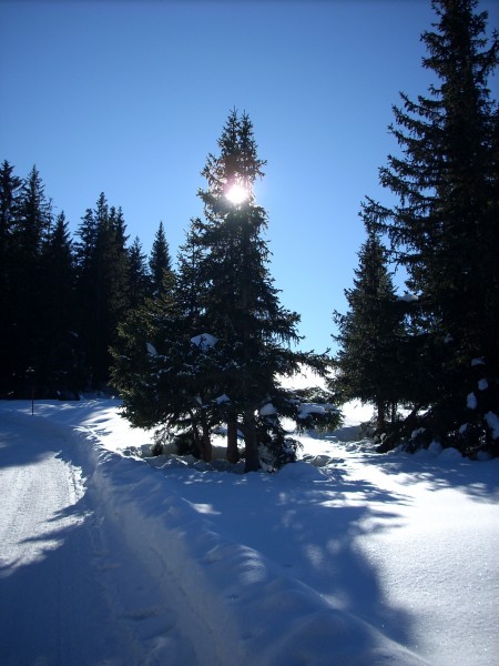 SANTA CRISTINA DI VAL GARDENA