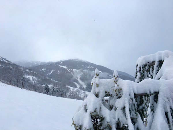 bardonecchia4gennaio16.jpg (347.68 KiB) Visto 1715 volte bardonecchia4gennaio16.jpg