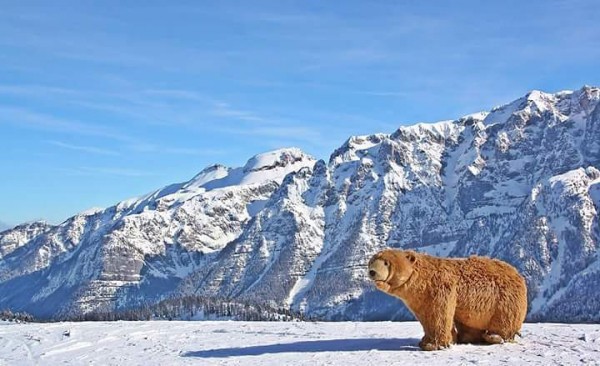 12650895_965455693538094_7025456670670905604_n.jpg (55.35 KiB) Visto 4263 volte incontri ravvicinati