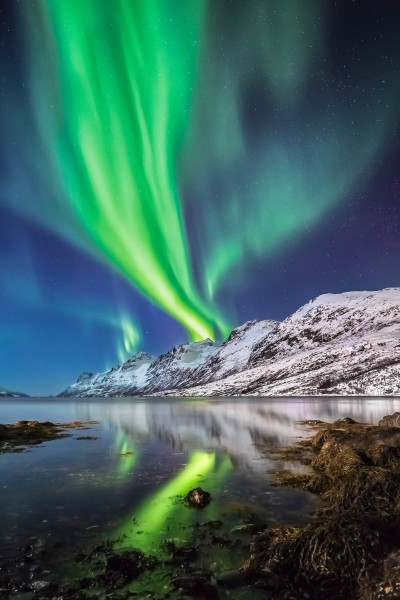 Sinue_Serra-2.jpg (1.49 MiB) Visto 3960 volte Tromso, Norvegia