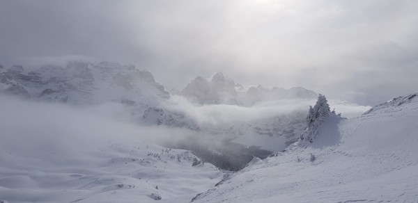20180202_121610.jpg (2.01 MiB) Visto 36261 volte Madonna di Campiglio