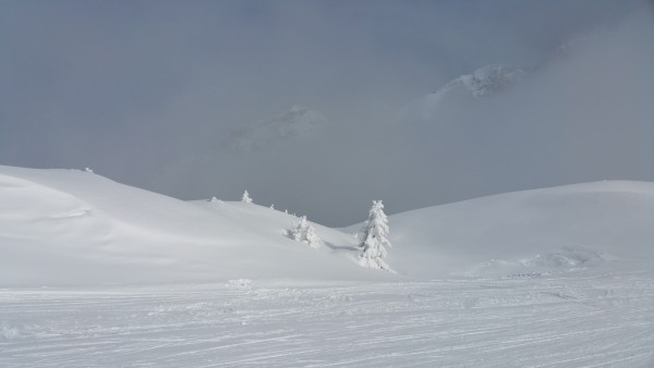 20180202_121759.jpg (3.52 MiB) Visto 36258 volte Madonna di Campiglio