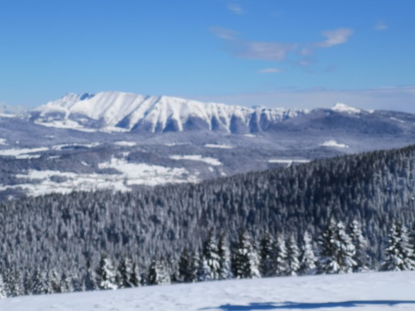 IMG_20200304_112725.jpg (2.31 MiB) Visto 10553 volte IMG_20200304_112725.jpg