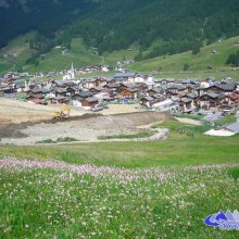 DSCN0976.jpg