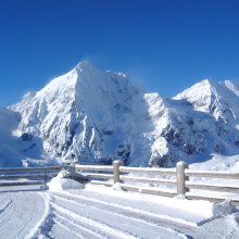 Blick_auf_Konig_und_Zebru.jpg