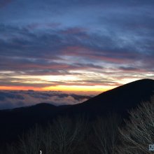 DSC_4267.jpg