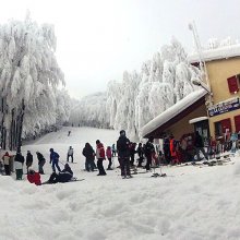 campigna_parco__nazionale__delle__foreste__casentinesi.jpg