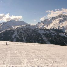 Immagine_311.jpg