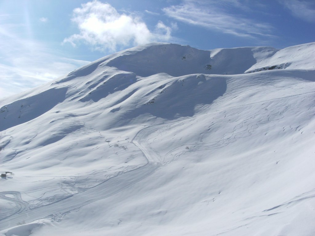 Clicca per vedere l'immagine alla massima grandezza