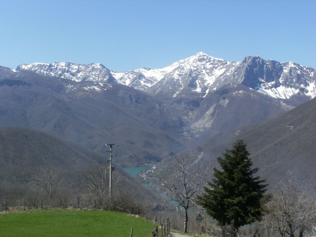 Clicca per vedere l'immagine alla massima grandezza