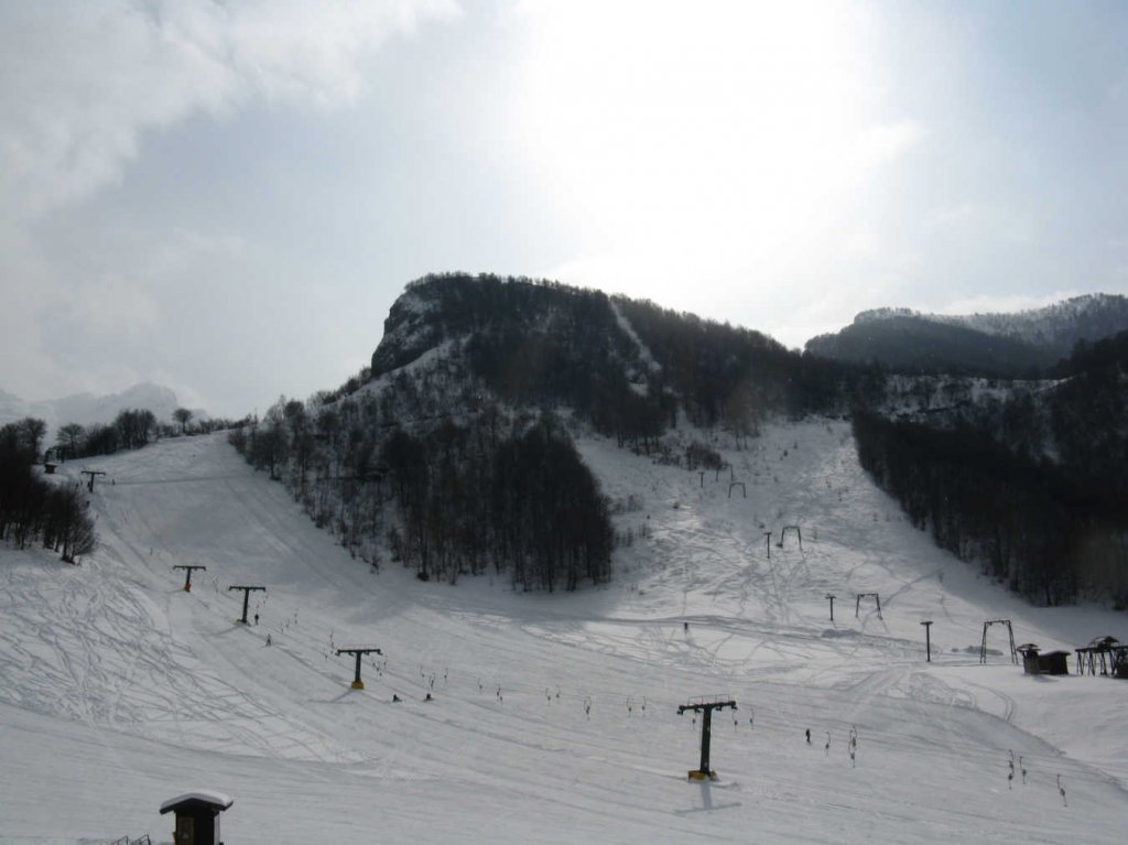 Clicca per vedere l'immagine alla massima grandezza