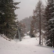DSCN2692.jpg