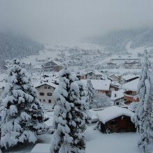 DSC_0374.JPG