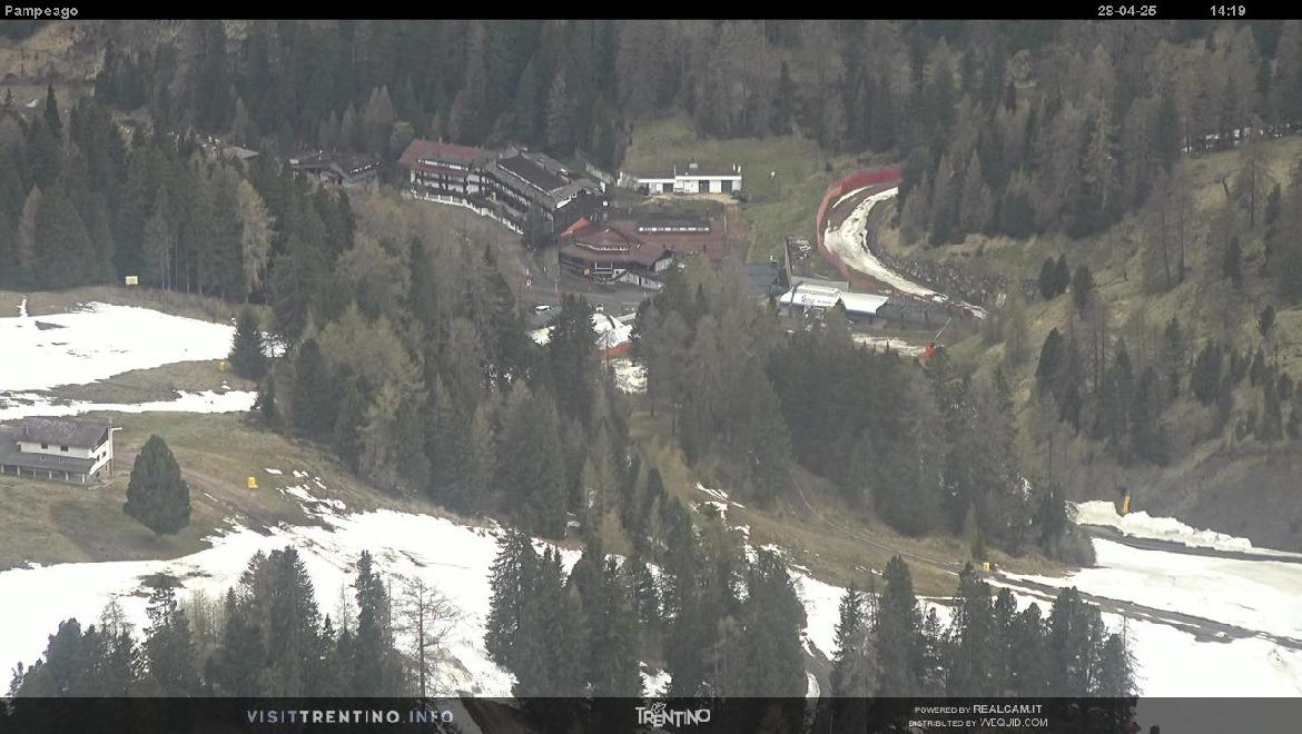 Webcam Piste Pampeago