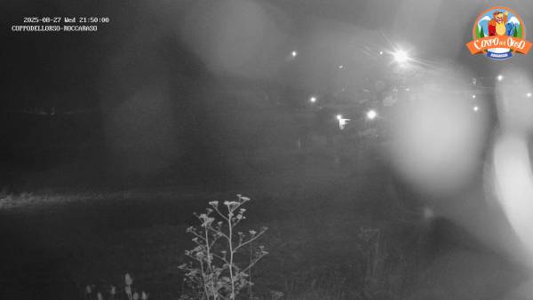WEBCAM COPPO DELL ORSO