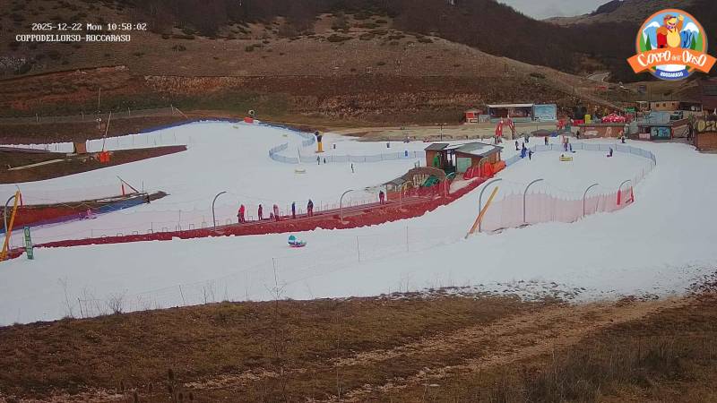 WEBCAM COPPO DELL ORSO