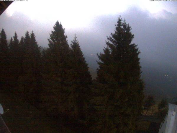 Webcam Bielmonte Oasi Zegna