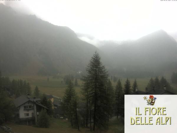webcam Il Fiore delle Alpi