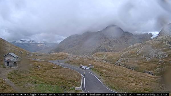webcam Gavia