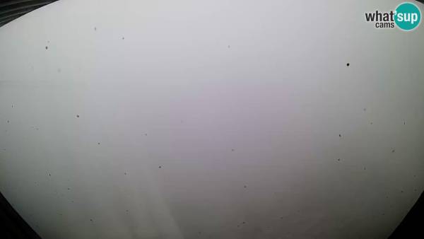 WEBCAM KANIN