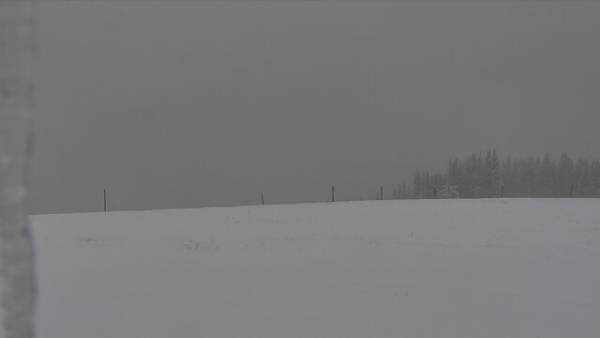Webcam Vail