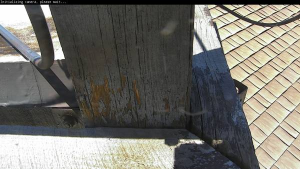 Webcam Beaver Creek