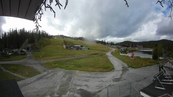Webcam Ruka