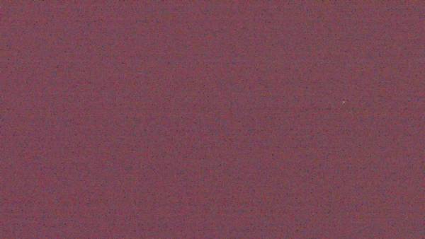 Webcam Freedom Eagle