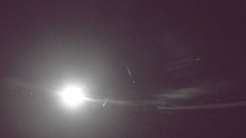 Webcam Freedom Eagle