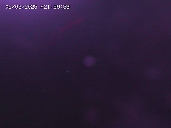 webcam murren
