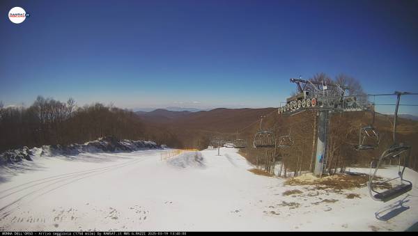 Webcam Livata