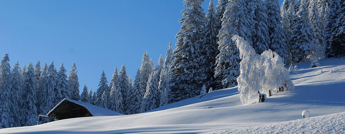 Adelboden