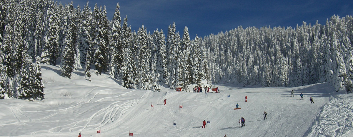 Monte Verena - Asiago