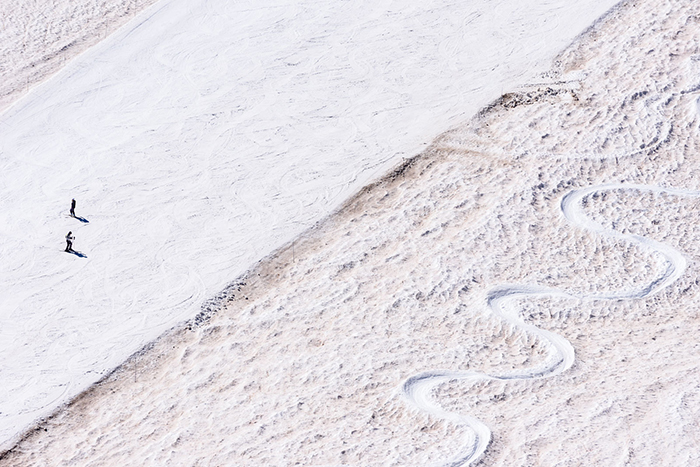 neve estate 2020