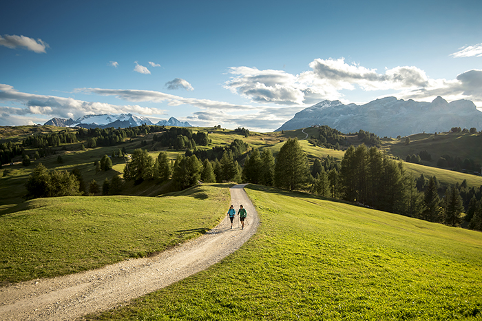 Molography.it - Movimënt Alta Badia