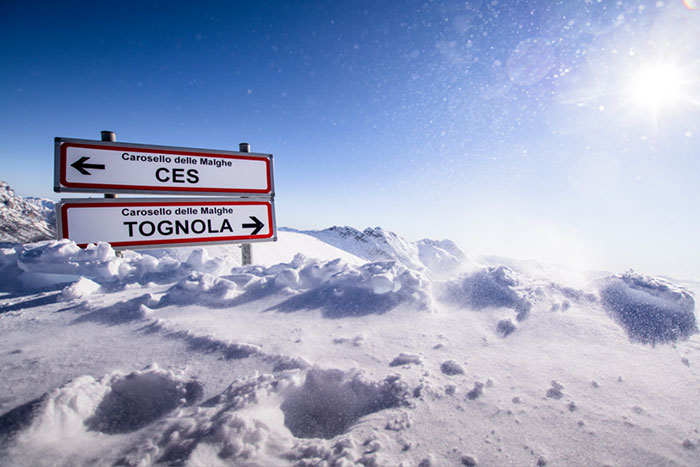 ces tognola