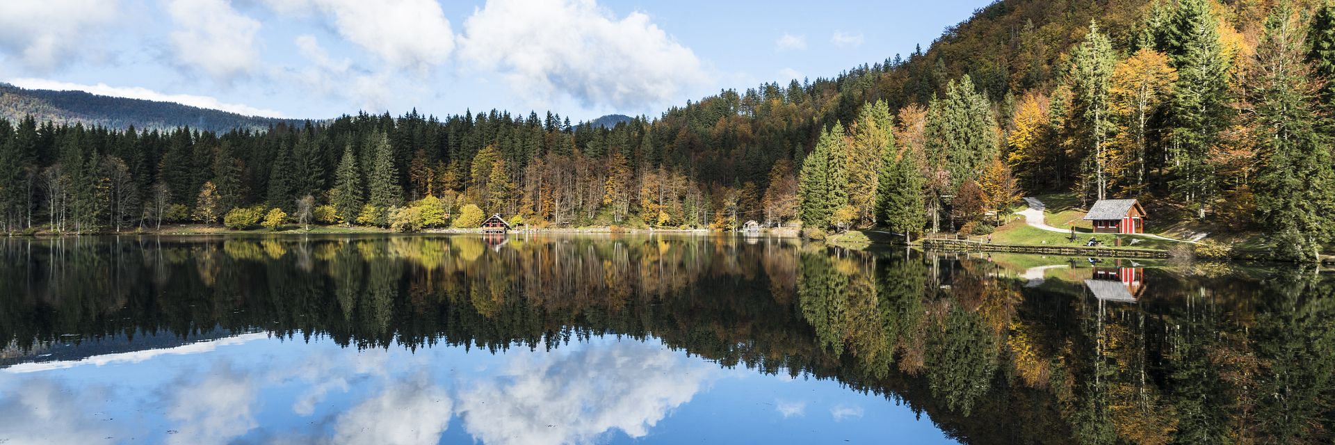 fusine