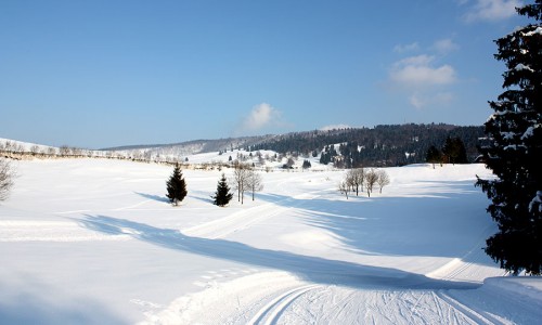 Fondo all'Altopiano di Asiago