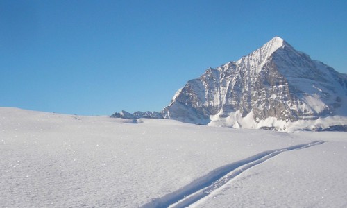 San Domenico