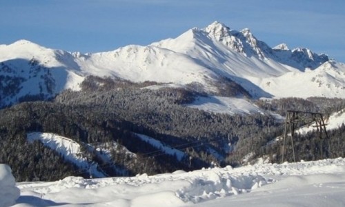 Sauris
