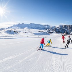 wisthaler.com - Dolomiti Superski, Alpe di Siusi