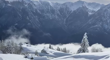 Domobianca, passssaggi in crescita del 10%