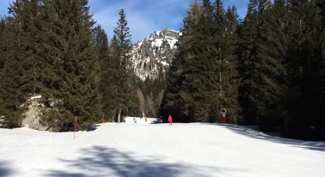 MALGA CIAPELA - Skilift  Arei 1 e 2 chiusi da dicembre