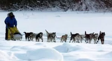 CAMPIGNA SANTA SOFIA: sleddog e pescatori
