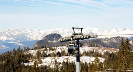ALTO ADIGE - Sistemato l'80% dei boschi distrutti da Vaia