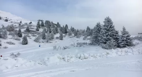 PONTEDILEGNO TONALE - Neve al top e tutto aperto per le Feste