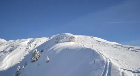 Settimana bianca senza pensieri: le polizze temporanee